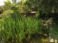 Complex Casa de Vis