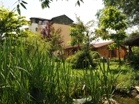 Complex Casa de Vis