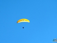 liviu gh 065