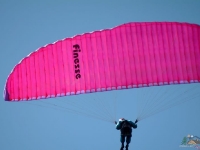 liviu gh 156