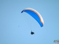 liviu gh 161