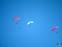 liviu gh 190