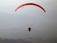 liviu gh 277