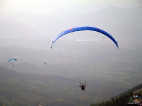 liviu gh 318