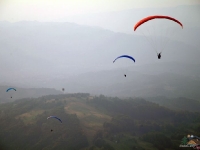 liviu gh 325
