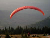 liviu gh 378