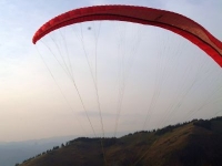 liviu gh 392