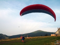 liviu gh 402