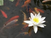 P7020023