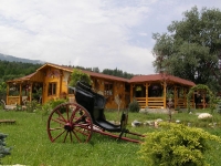 P7020033